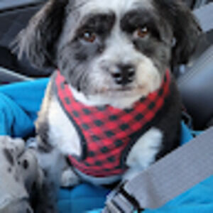 Meet your Posher, Geraldine